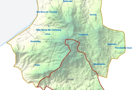 Covas