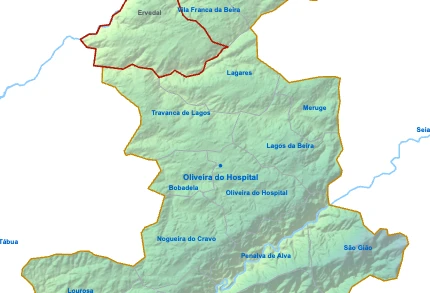 Ervedal