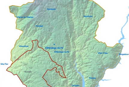 Eucisia