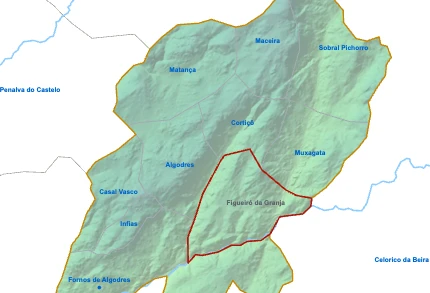 Figueiró da Granja