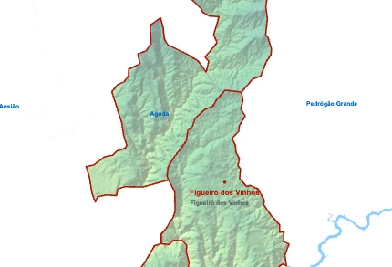 Figueiró dos Vinhos