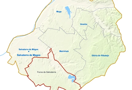 Foros de Salvaterra