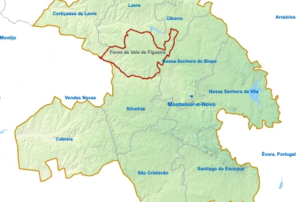Foros de Vale de Figueira