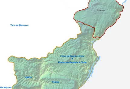 Lagoaça