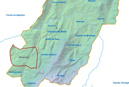 Mesquitela