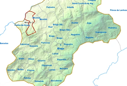 Mire de Tibães