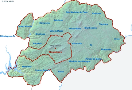 Mogadouro