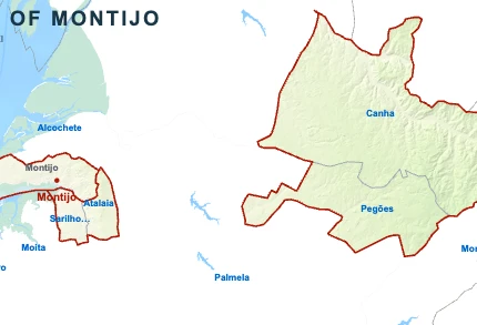 Montijo