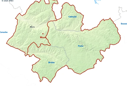 Mora