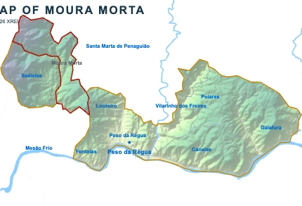 Moura Morta