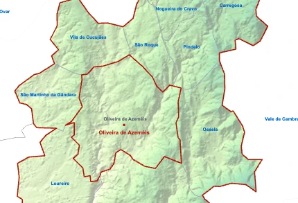 Oliveira de Azeméis