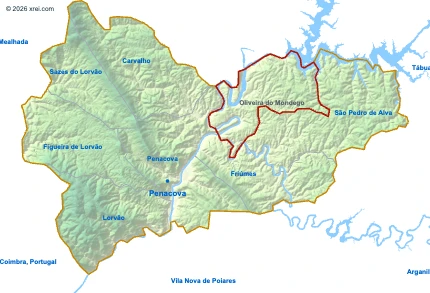 Oliveira do Mondego
