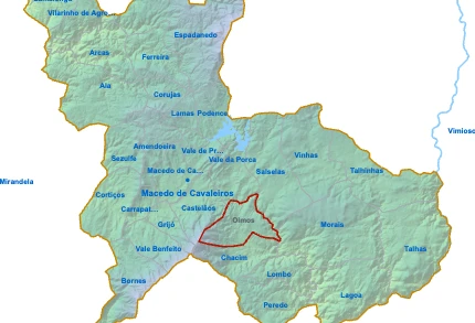 Olmos