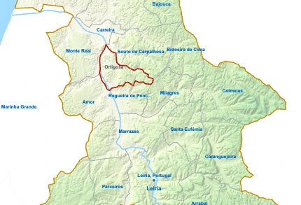 Ortigosa