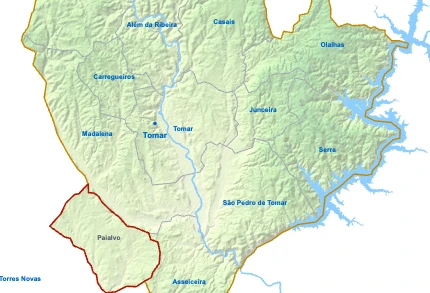 Paialvo