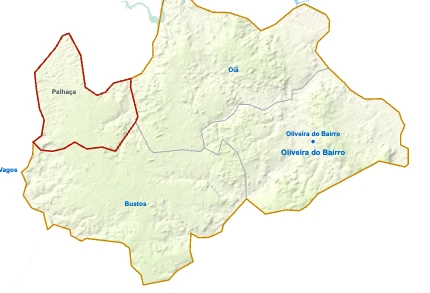 Palhaça