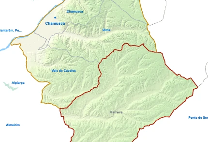 Parreira