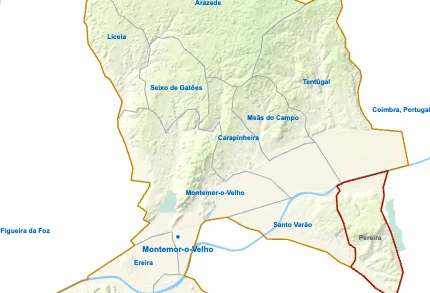 Pereira