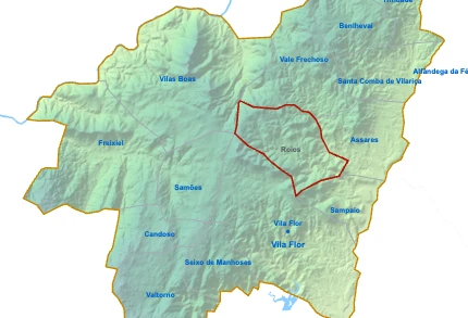 Roios