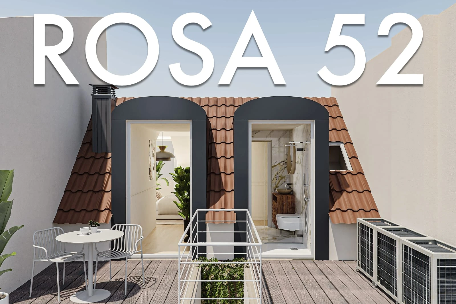 Rosa 52