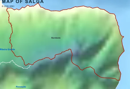 Salga
