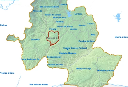 Salgueiro do Campo