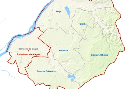 Salvaterra de Magos