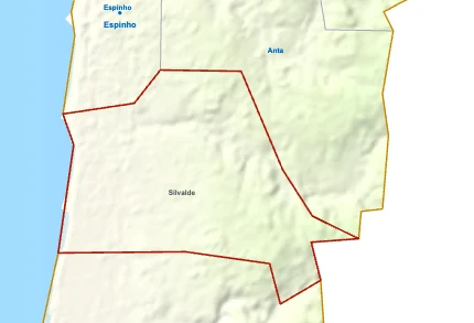Silvalde