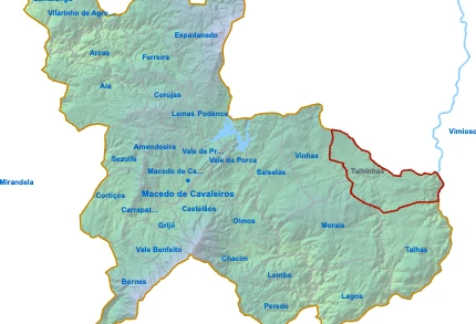 Talhinhas