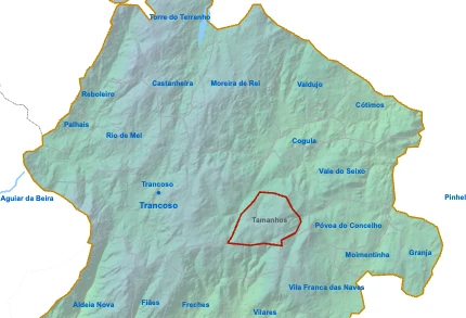 Tamanhos