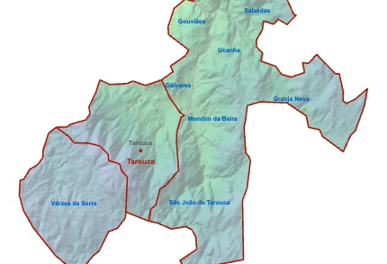 Tarouca
