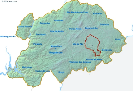 Tó