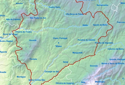 Viseu Dão Lafões